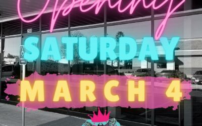 Discover the Magic of Dragonflies Boutique: Shop Local at Their Soft Opening